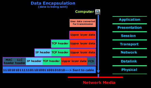 View of networks